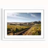 Framed wall art collection showcasing a serene vineyard landscape design, featuring vibrant green fields and rolling hills, presented in a sleek white frame with a mat.
