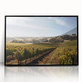 Framed acrylic wall art featuring a vibrant vineyard landscape design, showcasing lush green vines under a clear blue sky, perfect for enhancing home decor.