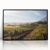 Framed acrylic wall art featuring a vibrant vineyard landscape design, showcasing lush green vines under a clear blue sky, perfect for enhancing home decor.