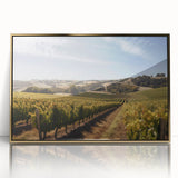 Framed acrylic wall art featuring a vibrant vineyard landscape design with golden accents, perfect for adding elegance to home decor or office spaces.