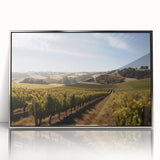 Framed acrylic wall art showcasing a scenic vineyard landscape design in silver tones, enhancing home decor with its elegant and modern aesthetic. Perfect for wine lovers and art enthusiasts.