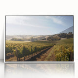 Framed acrylic wall art showcasing a picturesque vineyard landscape design with vibrant green vines and a clear blue sky, enhancing home decor aesthetics.