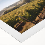 Vibrant rolled canvas art featuring a picturesque vineyard landscape, showcasing lush green vines under a bright blue sky, perfect for enhancing home decor.