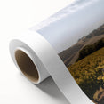 Vibrant rolled canvas artwork depicting a serene vineyard landscape with lush green vines and rolling hills, ideal for home decor and art enthusiasts.
