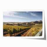 Vibrant vineyard landscape wall art collection featuring rolling hills, lush green vines, and a serene sunset, ideal for home decor or wine-themed spaces.