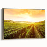 Framed canvas wall art showcasing a vibrant vineyard landscape design with golden hues, perfect for enhancing interior decor in homes or offices.
