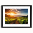 Framed wall art showcasing a serene vineyard landscape design with a black mat and frame, ideal for enhancing home decor and creating a calming atmosphere.