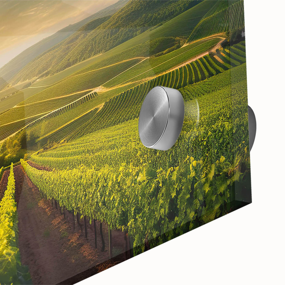 Close-up of an elegant acrylic glass artwork showcasing a vibrant vineyard landscape, with rich greens and golden hues, perfect for home decor and art enthusiasts.