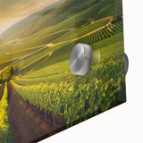 Close-up of an elegant acrylic glass artwork showcasing a vibrant vineyard landscape, with rich greens and golden hues, perfect for home decor and art enthusiasts.