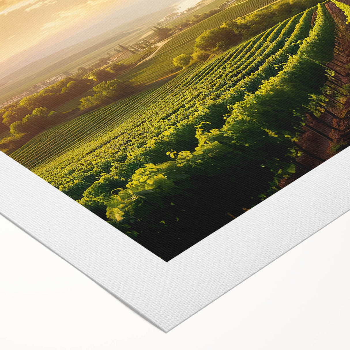 Vibrant rolled canvas featuring a picturesque vineyard landscape design, showcasing lush green vines and rolling hills, perfect for enhancing home decor.