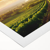 Vibrant rolled canvas featuring a picturesque vineyard landscape design, showcasing lush green vines and rolling hills, perfect for enhancing home decor.