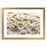 Framed wall art featuring a vibrant marine life coral design, highlighted with a gold frame and mat, perfect for ocean-themed decor. Ideal for enhancing living spaces.