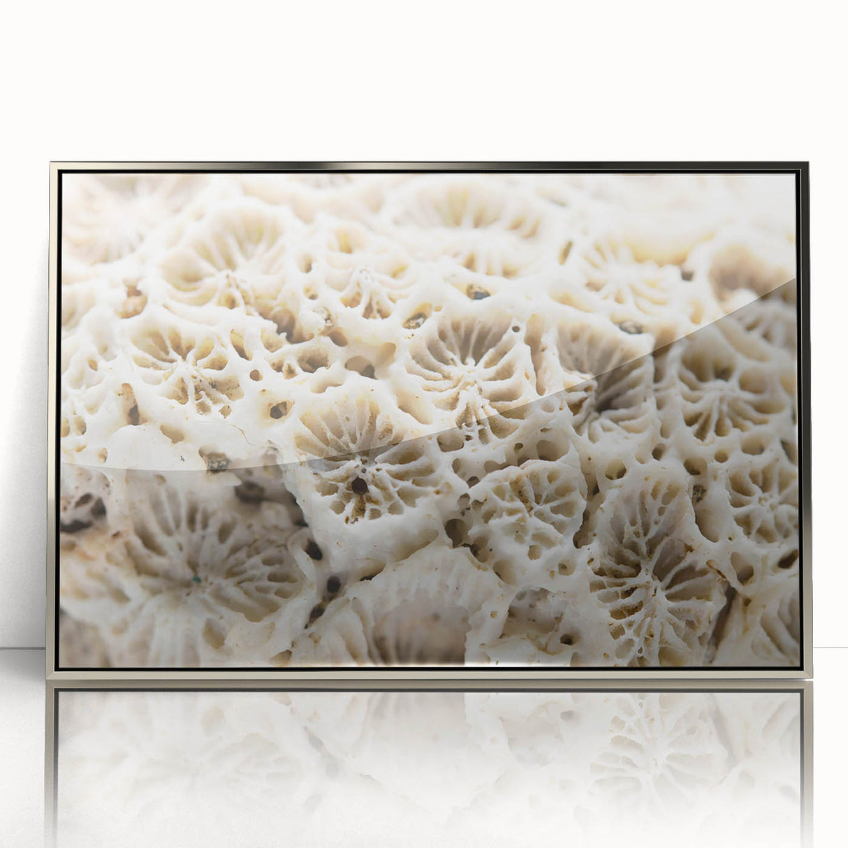Framed acrylic wall art showcasing a vibrant marine life coral design in silver, perfect for adding a coastal touch to any interior decor. The intricate details and colors enhance any room's ambiance while promoting ocean conservation awareness.