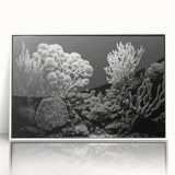 Framed acrylic wall art featuring a vibrant marine life coral design, showcasing colorful corals and aquatic elements on a white background, perfect for ocean-themed decor.