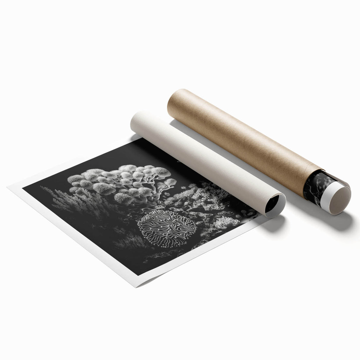 Vibrant rolled print showcasing a marine life coral design, featuring intricate details and rich colors, perfect for ocean-themed decor or art collection.