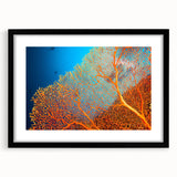 Framed wall art featuring a vibrant marine life coral design in shades of blue and orange, set against a sleek black frame, perfect for ocean-themed decor.