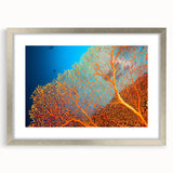 Framed wall art featuring a vibrant marine life coral design in silver frame with mat, perfect for ocean-themed decor, showcasing intricate coral details and colors.