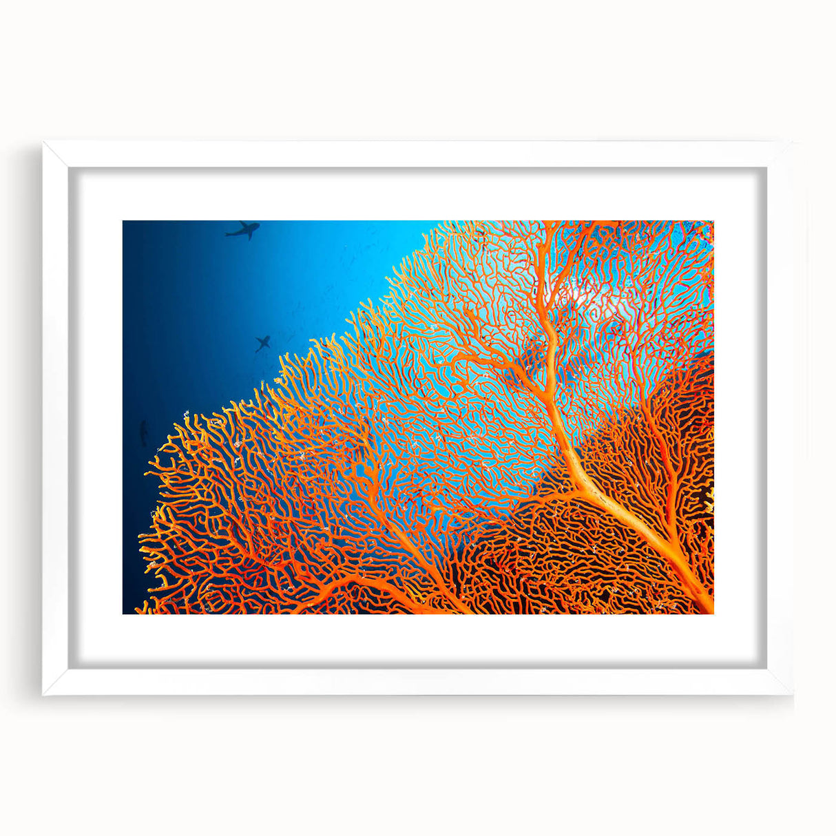 Framed wall art featuring a vibrant marine life coral design, showcasing intricate details in shades of blue and orange, with a white mat and frame, perfect for ocean-themed decor.