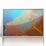 Framed wall art featuring a vibrant marine life coral design in a white frame, showcasing colorful underwater elements, perfect for ocean-themed decor.