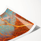 Vibrant rolled print showcasing a marine life coral design, featuring rich colors and intricate details, perfect for ocean-themed decor and art enthusiasts.