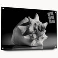 Acrylic wall art collection showcasing vibrant marine life and coral designs, displayed in a side view with polished pins for mounting, perfect for ocean-themed decor.