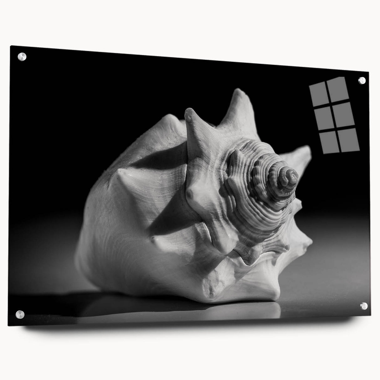 Acrylic wall art collection showcasing vibrant marine life and coral designs, displayed in a side view with polished pins for mounting, perfect for ocean-themed decor.