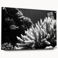 Acrylic glass wall art showcasing a vibrant marine life coral design, displayed from the side with visible mounting pins, perfect for aquatic-themed decor.