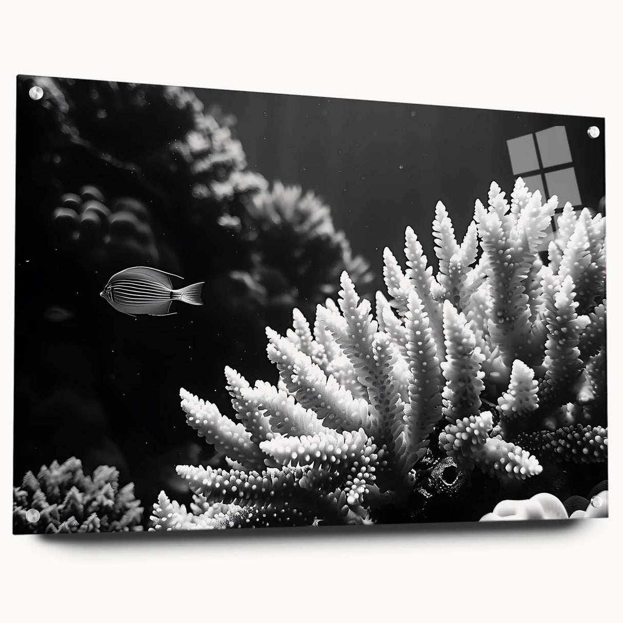 Acrylic glass wall art showcasing a vibrant marine life coral design, displayed from the side with visible mounting pins, perfect for aquatic-themed decor.