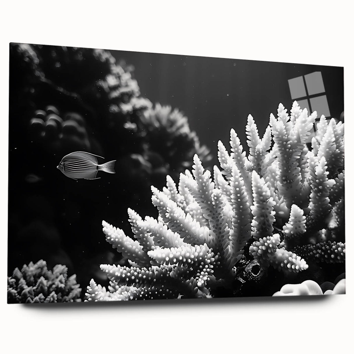 "Marine life-themed wall art featuring intricate coral designs, displayed in a sleek acrylic frame, showcasing vibrant colors and detailed textures, perfect for ocean lovers."