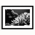Framed wall art featuring a vibrant coral reef design, showcasing intricate marine life illustrations in vivid colors, set in a sleek black frame with a mat.