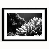 Framed wall art featuring a vibrant coral reef design, showcasing intricate marine life illustrations in vivid colors, set in a sleek black frame with a mat.
