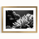 Framed wall art featuring a vibrant marine life coral design, highlighted with a gold frame and mat, perfect for ocean-themed decor. Ideal for enhancing living spaces.