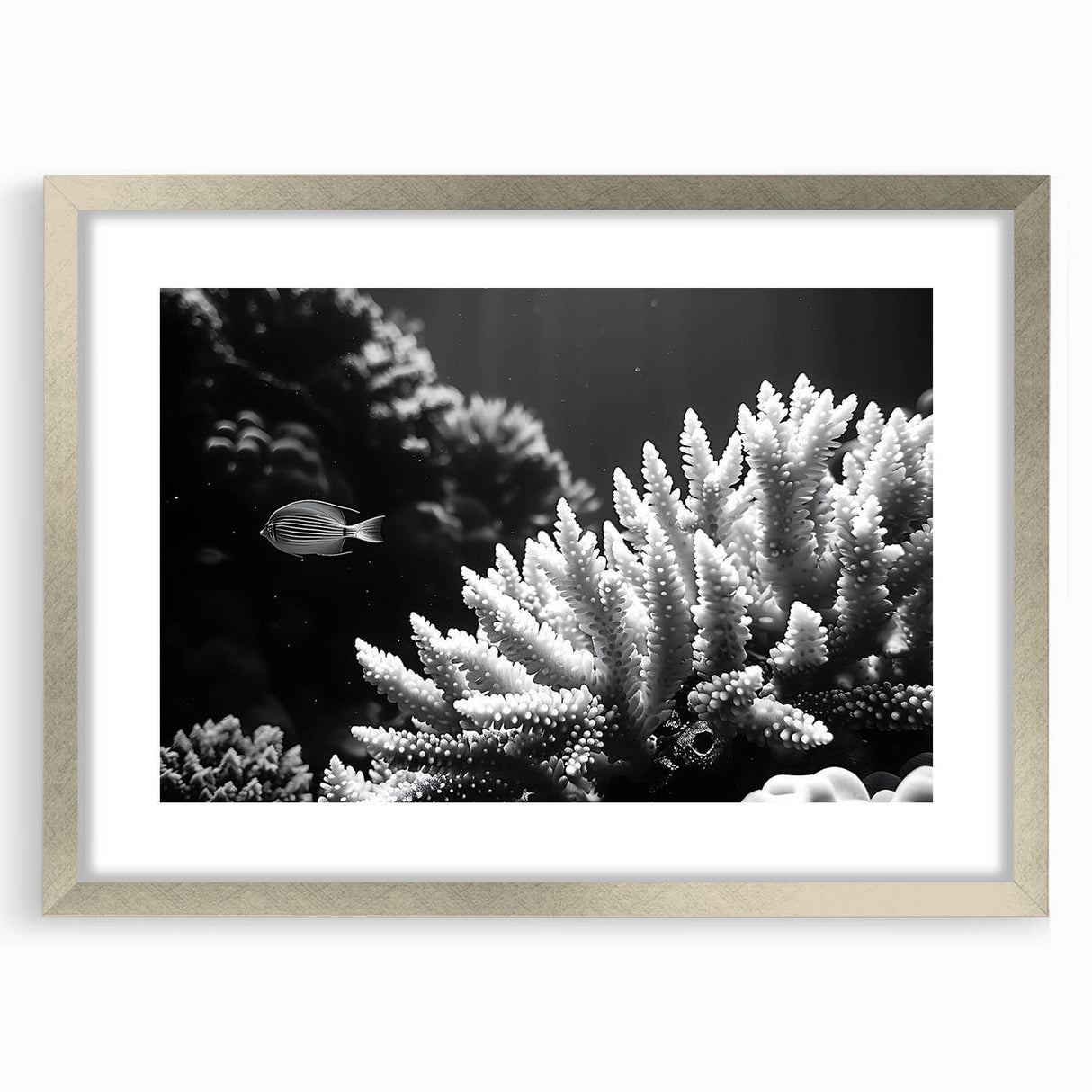 Framed wall art showcasing a vibrant marine life coral design in shades of blue and orange, set in a sleek silver frame with a white mat, perfect for ocean-themed decor.