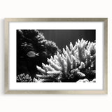 Framed wall art showcasing a vibrant marine life coral design in shades of blue and orange, set in a sleek silver frame with a white mat, perfect for ocean-themed decor.