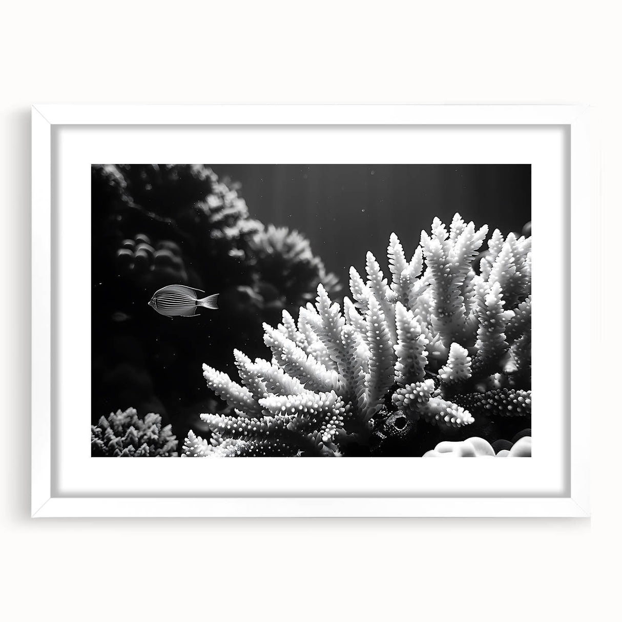Marine life coral design wall art collection framed in white, showcasing vibrant colors and intricate details, perfect for ocean-themed decor.