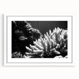 Marine life coral design wall art collection framed in white, showcasing vibrant colors and intricate details, perfect for ocean-themed decor.