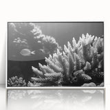 Framed acrylic wall art featuring a vibrant marine life coral design, showcasing colorful corals and sea creatures, set against a white background for a modern aesthetic. Ideal for ocean-themed decor.