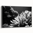 Framed canvas wall art showcasing a vibrant marine life coral design, featuring intricate details in shades of blue and orange against a sleek black frame, ideal for ocean-themed decor.