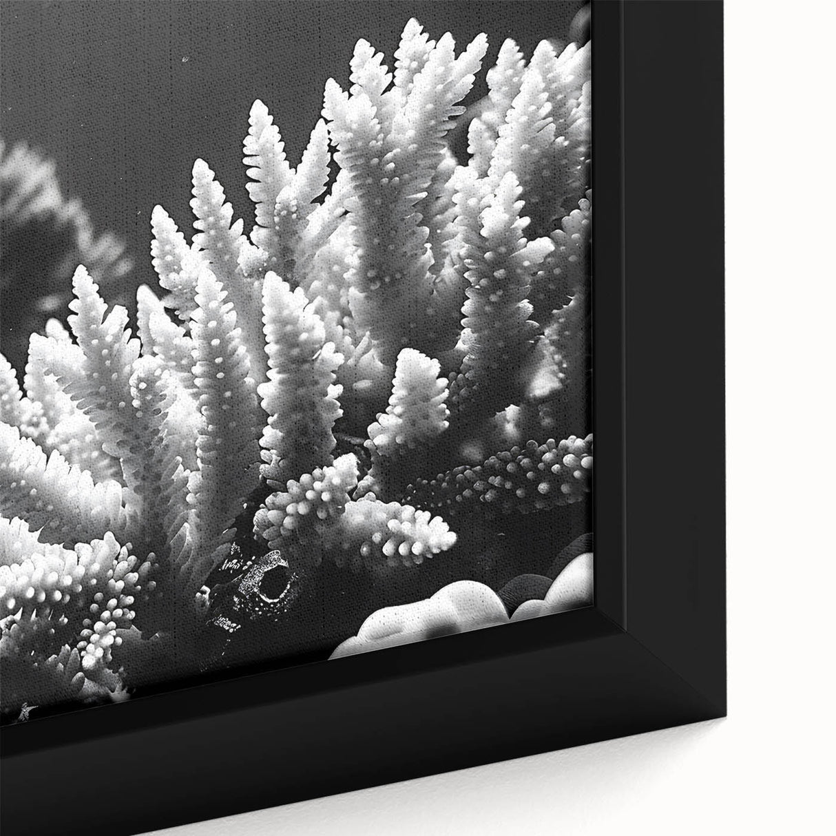 Close-up of framed canvas wall art showcasing a vibrant marine life coral design in rich colors, perfect for ocean-themed decor or nature enthusiasts.