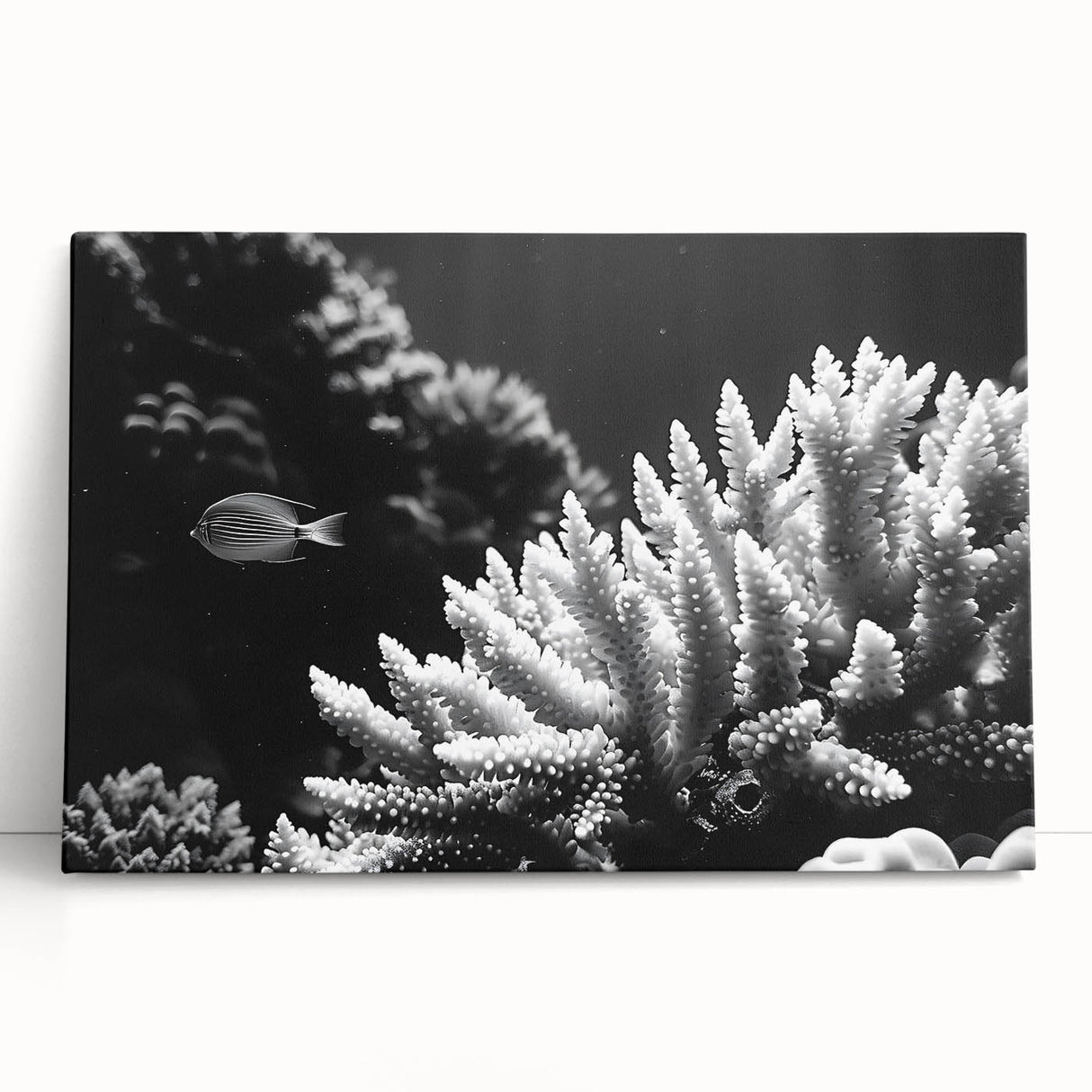 Vibrant marine life wall art on stretched canvas showcasing colorful coral designs, perfect for ocean-themed home decor or marine enthusiasts.