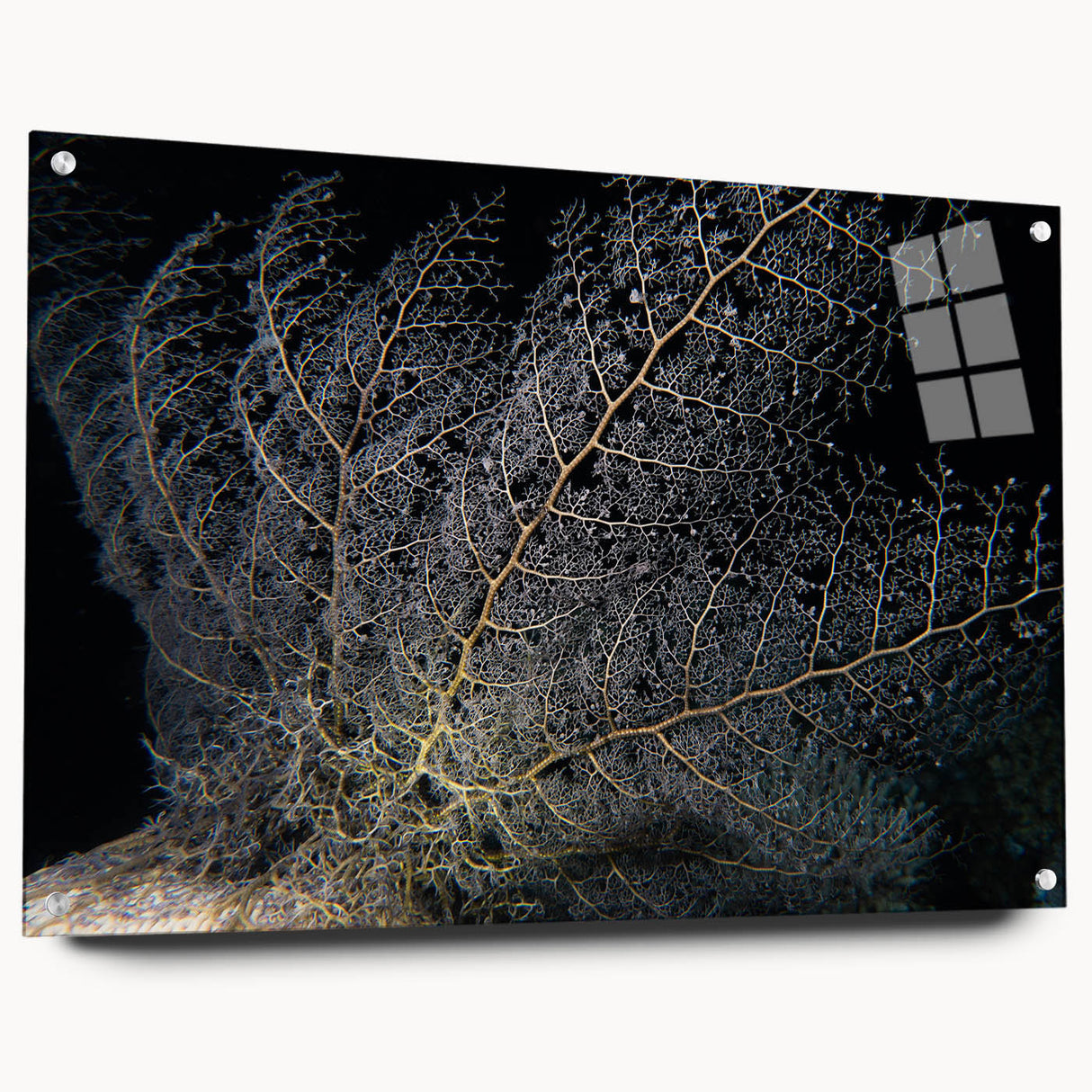 Close-up view of a vibrant marine life coral design wall art piece, crafted from acrylic glass, showcasing intricate underwater details and vivid colors, ideal for enhancing coastal-themed decor.