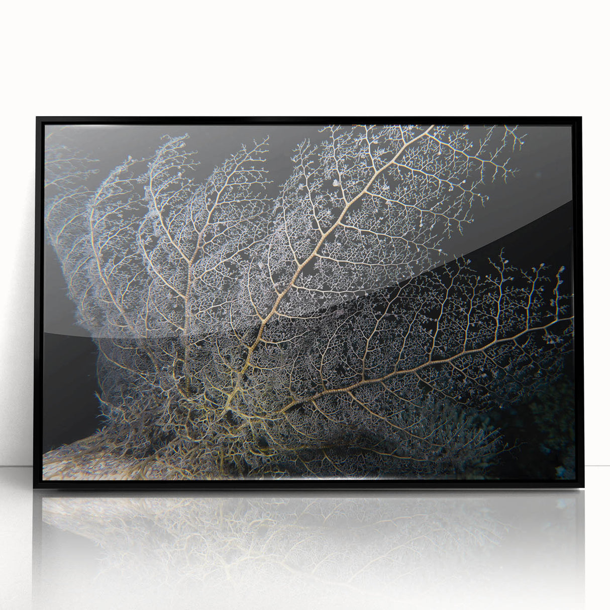 Framed acrylic wall art depicting a vibrant marine life coral design, featuring intricate details and a black frame, perfect for ocean-themed decor.