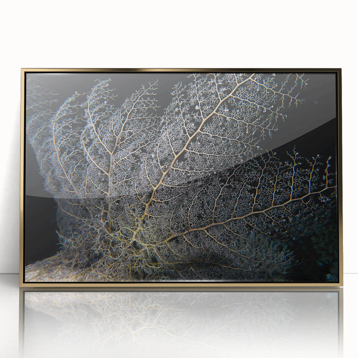 Framed wall art featuring a vibrant marine life coral design in gold acrylic, showcasing intricate details and colors, ideal for ocean-themed decor.