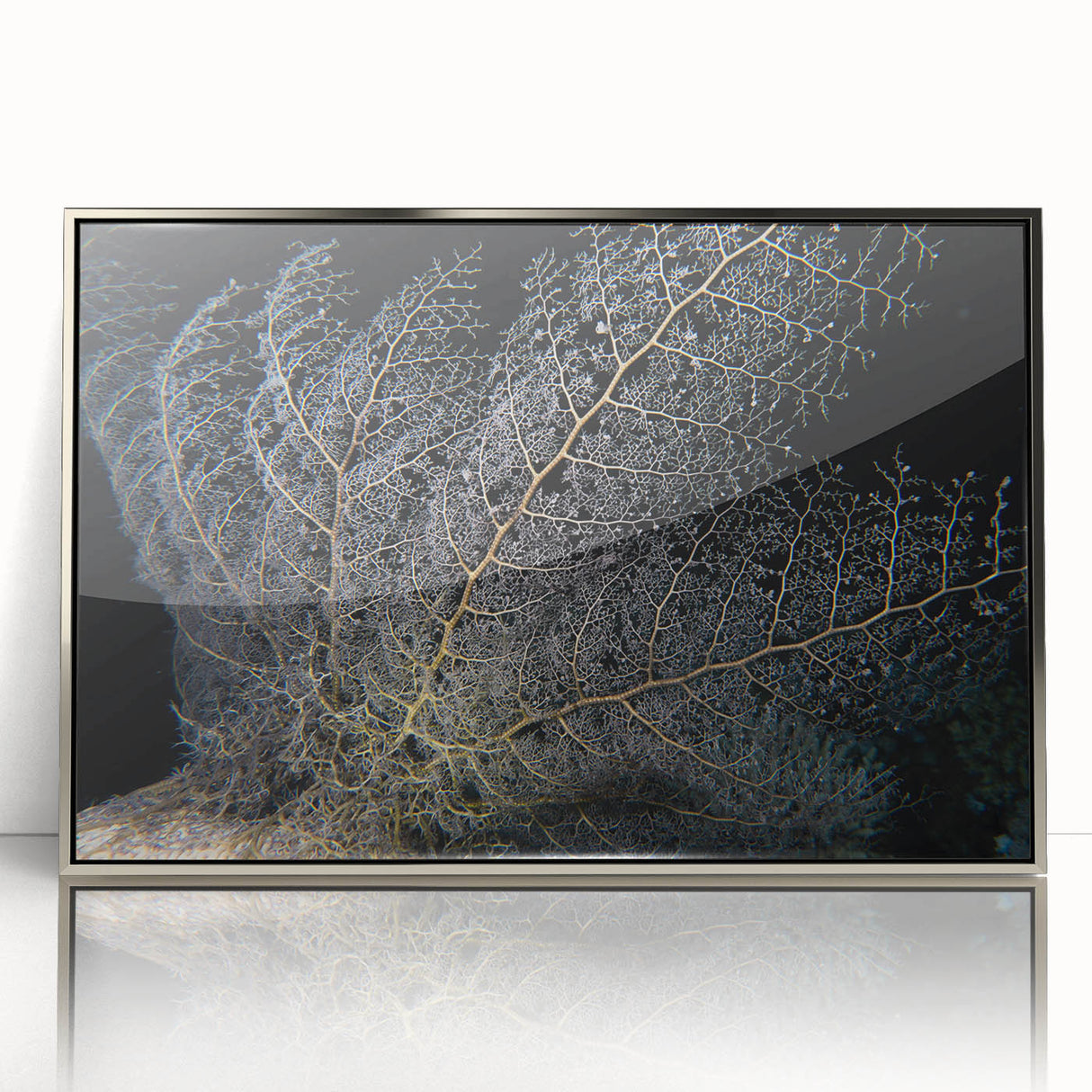 Framed wall art featuring a vibrant coral reef design with various marine life in bold colors, set in a sleek silver frame, perfect for ocean-themed decor.