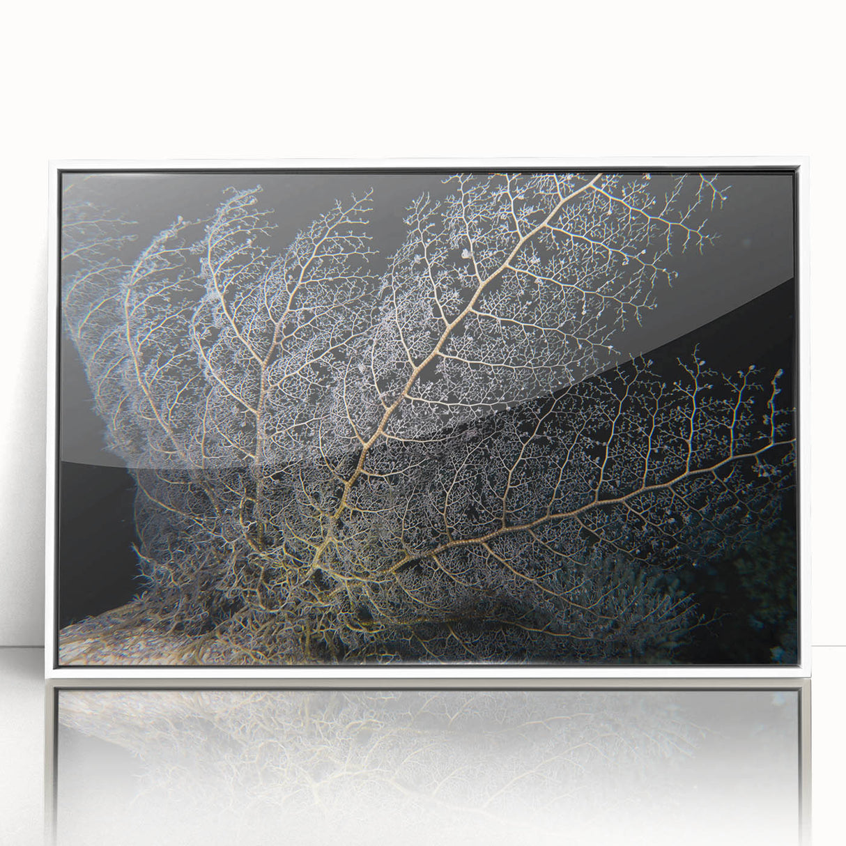 Framed acrylic wall art featuring a vibrant marine life coral design in shades of blue and orange, displayed against a sleek white frame, perfect for ocean-themed decor.