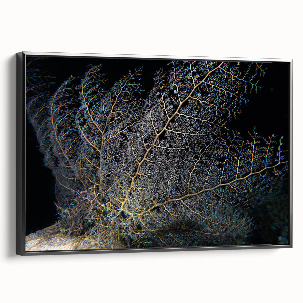 Framed wall art featuring a vibrant coral reef design in shades of blue and orange, showcasing intricate marine life details, perfect for ocean-themed decor.