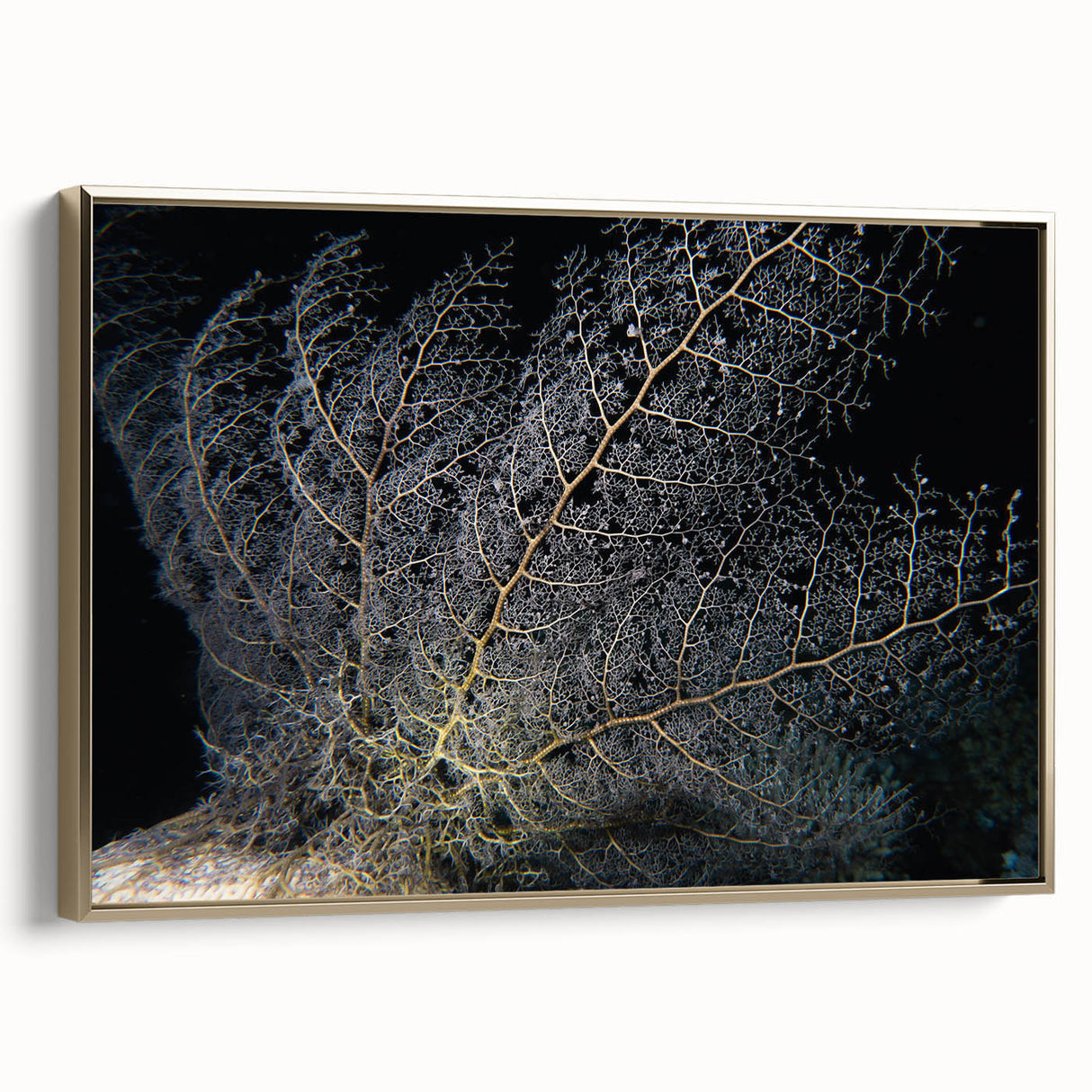 Framed canvas wall art showcasing a vibrant coral reef design with intricate marine life details in gold accents, perfect for coastal-themed decor.
