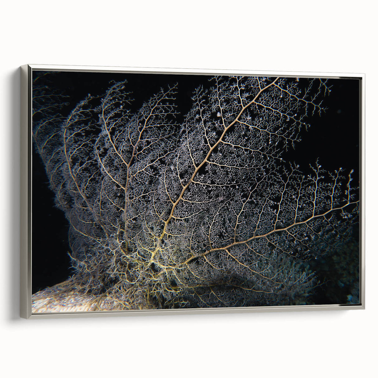 Framed wall art featuring a vibrant coral design in shades of blue and orange, showcasing intricate marine life details, set against a sleek silver frame. Perfect for ocean-themed decor.