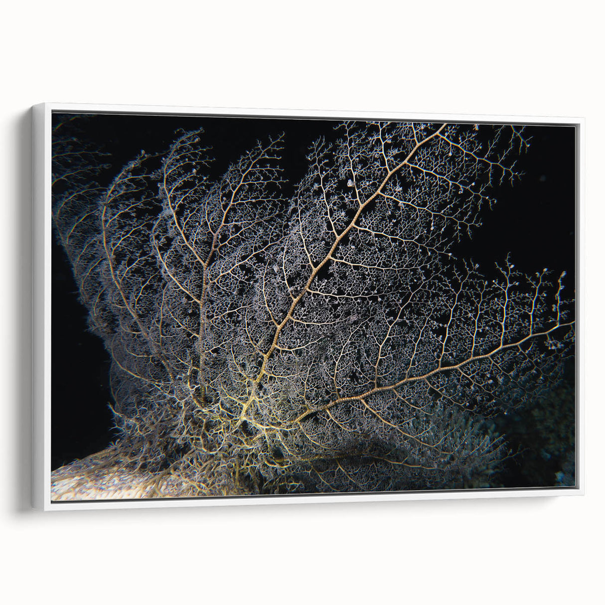 Framed canvas wall art showcasing a vibrant marine life coral design, featuring intricate details in shades of blue and coral. Ideal for ocean-themed decor.
