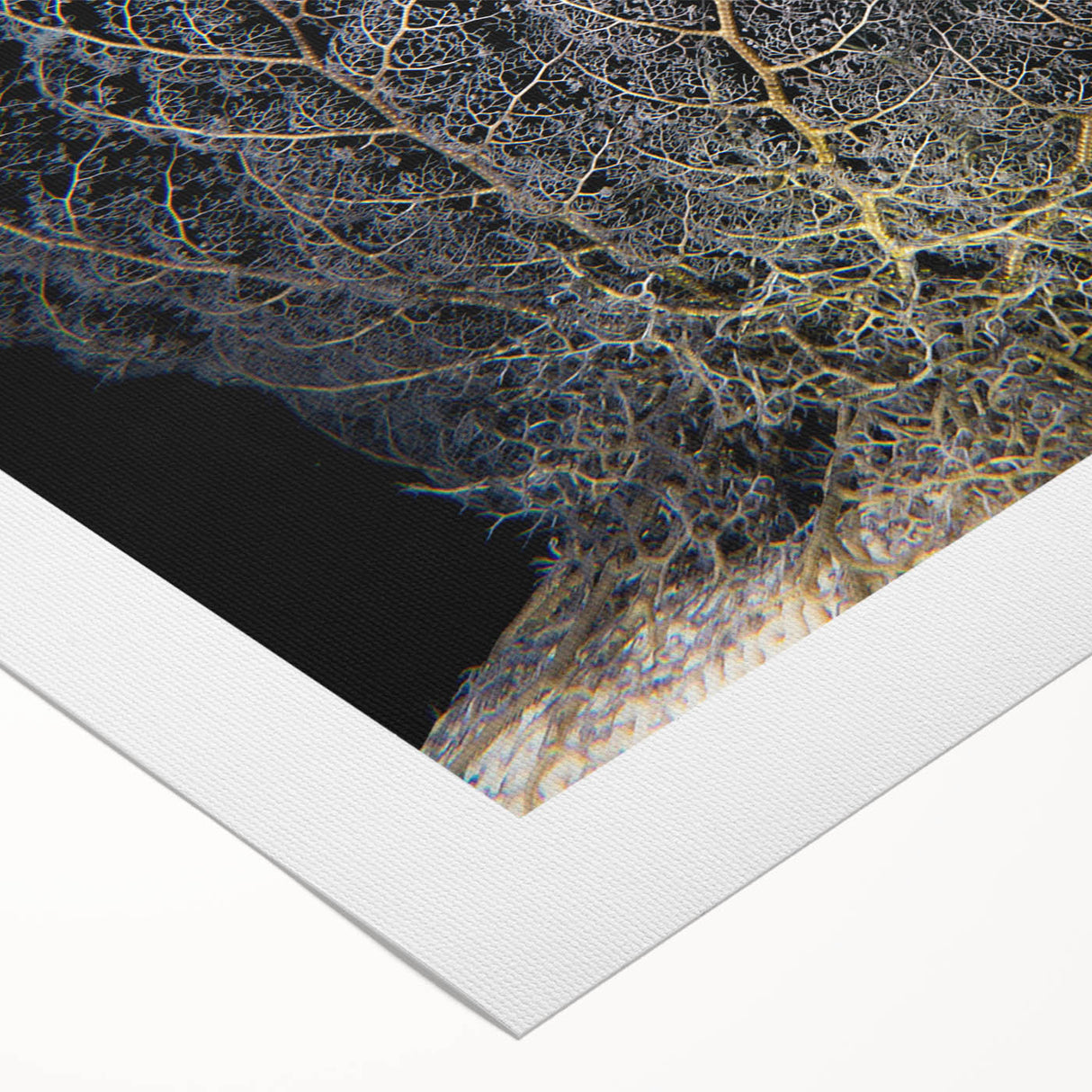 Vibrant rolled canvas artwork showcasing intricate marine life and coral designs, perfect for ocean-themed decor. Packaged securely in a protective tube for delivery.